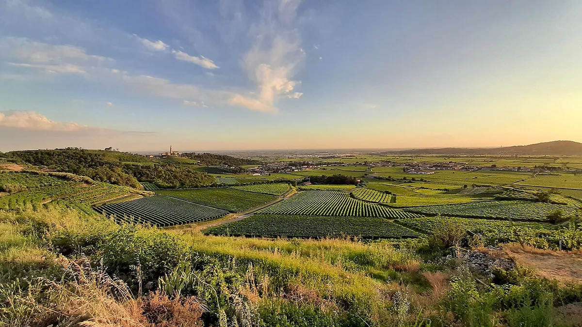 Veduta di Colognola ai Colli.